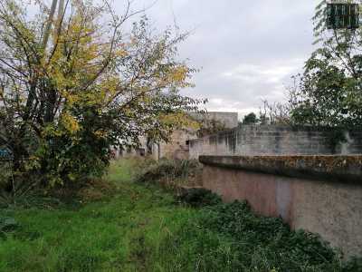 Ci facciamo cos� strada nel campo che la circonda costeggiando il muro perimetrale...